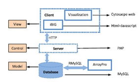 基因組所成功開(kāi)發(fā)整合網(wǎng)絡(luò)工具iBig，開(kāi)啟生物信息網(wǎng)絡(luò)分析新紀(jì)元